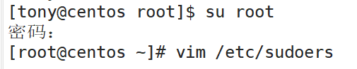 image-20230601100705883